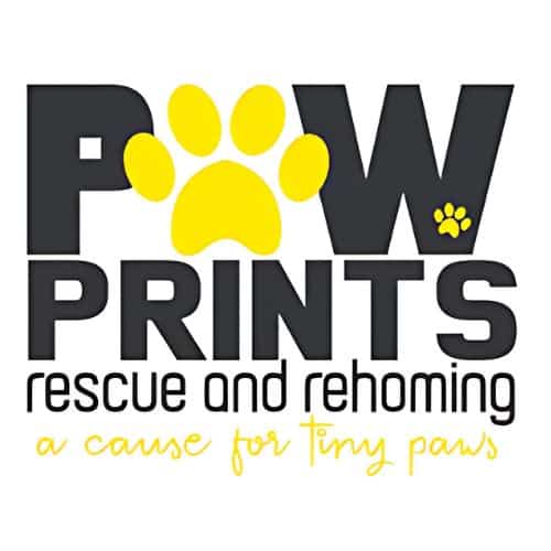 Paw Prints